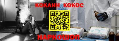 индика Усть-Джегута