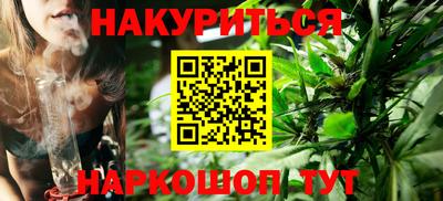 индика Усть-Джегута