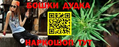индика Усть-Джегута