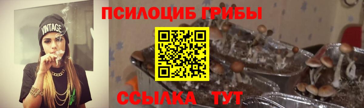 Волгоград  Галлюциногенные грибы Cubensis  Вход с VPN  Псилоцибиновые грибы Psilocybe 